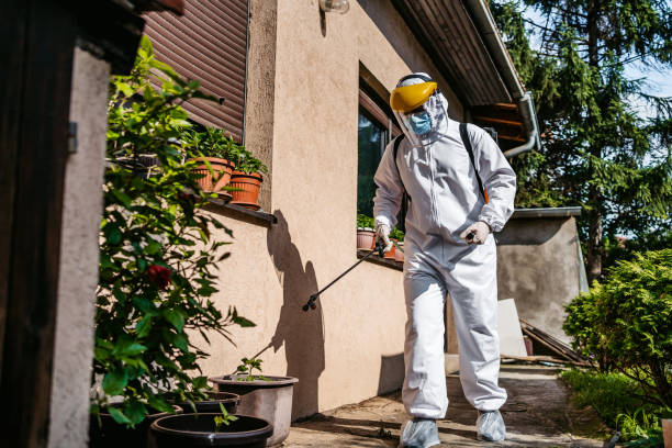 Best Ant Control Services  in Sharpes, FL