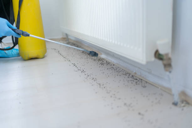 Best Pest Prevention Services  in Sharpes, FL